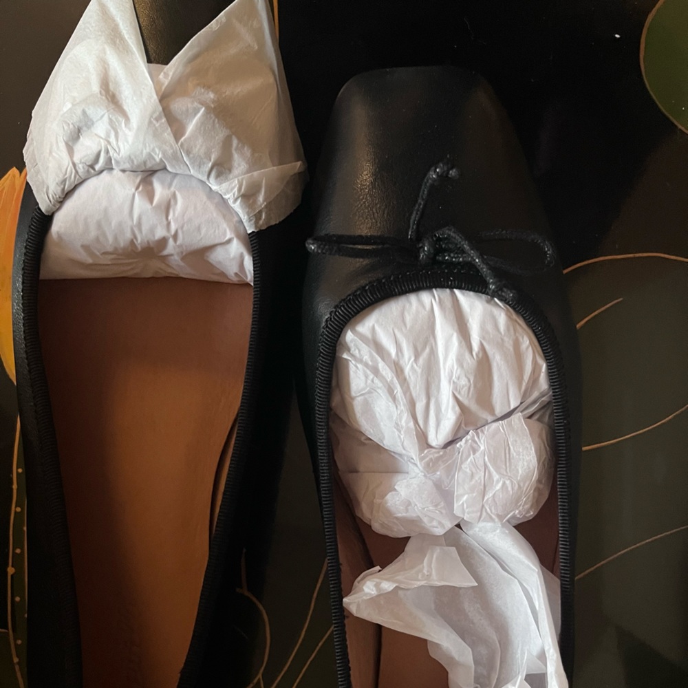 Brand New Madewell Leather Ballet Flats